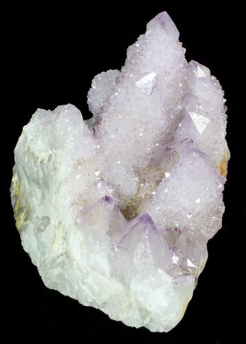 Cactus Quartz (Amethyst) Cluster - Large Crystals #62961